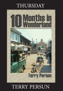 Ten Months In Wonderland